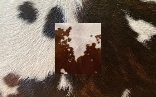 Texture de peau de vache crème et brune