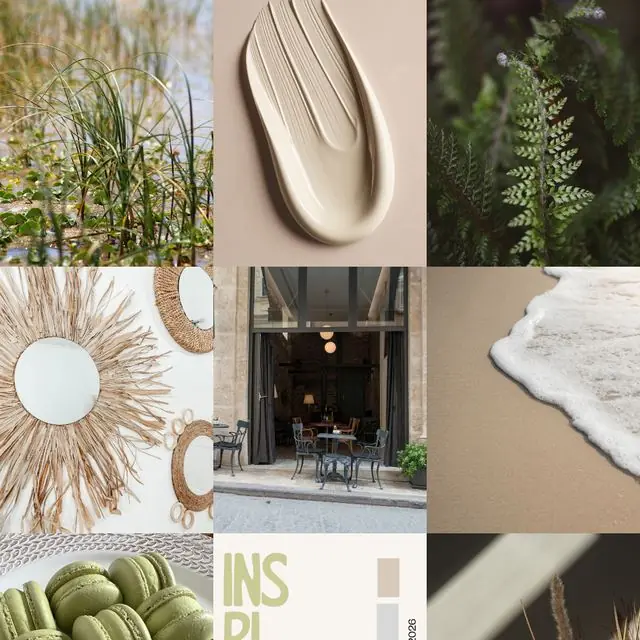 Moodboard « Inspiration » : herbes, crème, miroir en rotin, terrasse de café et macarons verts