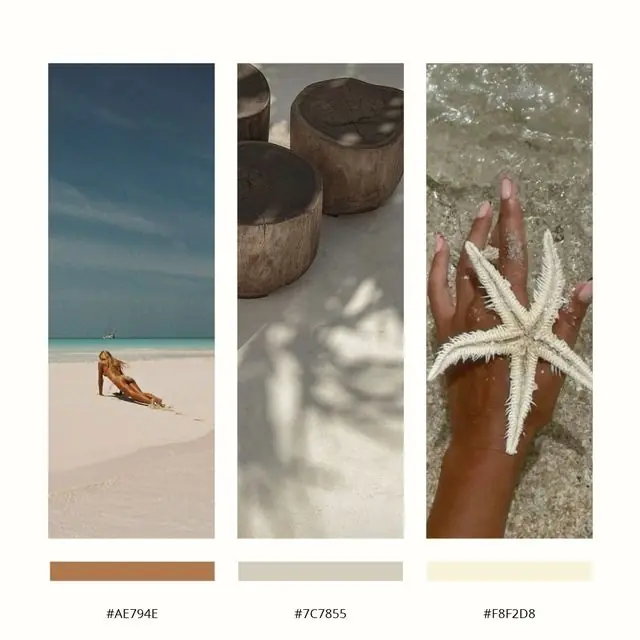 Trois photos de plage et leur nuancier de couleurs sable, gris et crème